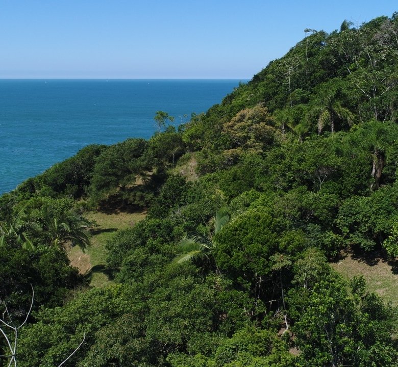 Terreno Frente Mar Estaleiro